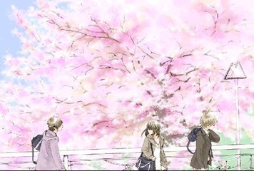 三叶草研究所官网入口